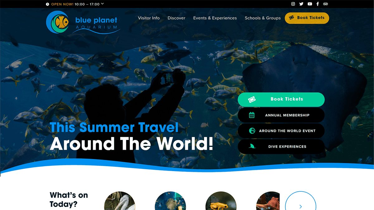 Blue Planet Aquarium - Louise Goodwin Freelance Web Designer