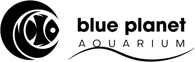 No alternative text provided