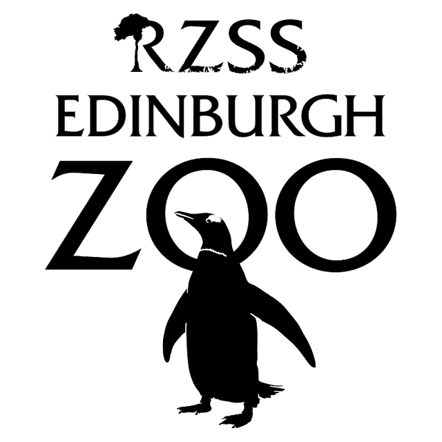 No alternative text provided